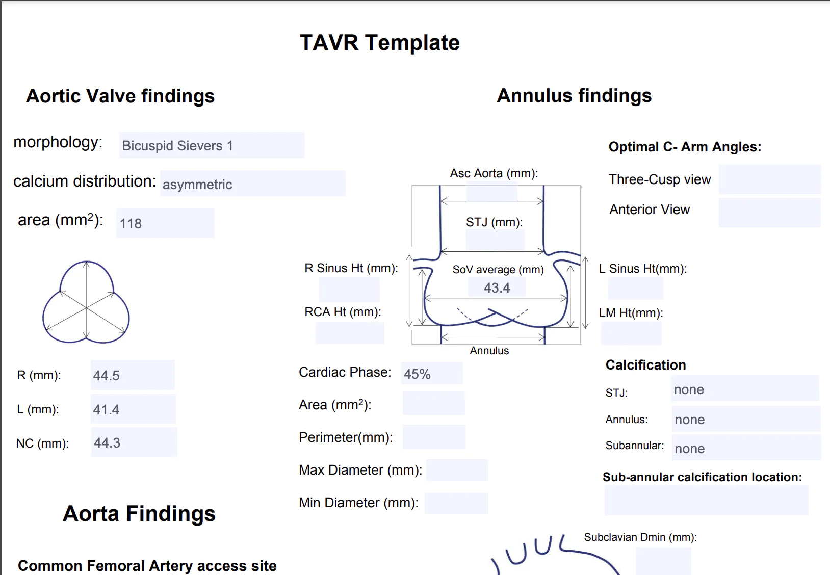 TAVR Report Template